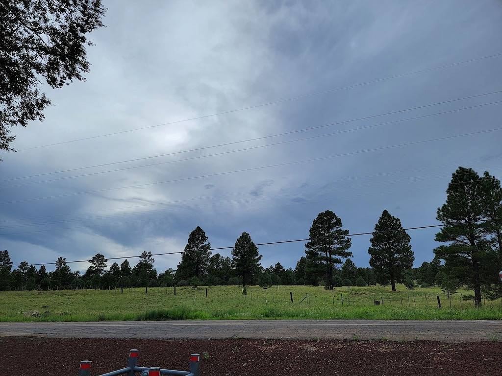 Bbz Bunkhouse - Cozy and Close to Town; Yet Secluded In The Great Outdoors! in Williams (Arizona), Coconino Nationalwald