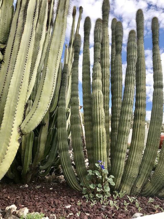 Wundersame Aussichten! Resort-Einstellung! Herz von Phoenix in Phoenix, Maricopa County
