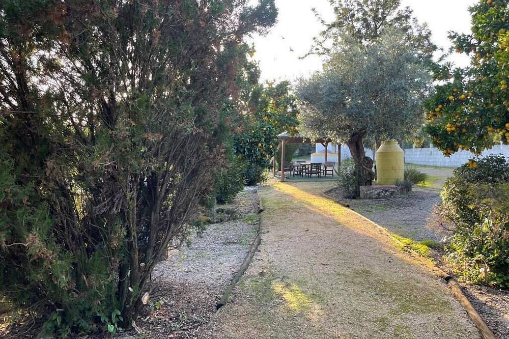 Casa do Lagar in Tomar, Santarém District