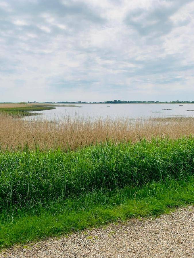 Rudbøl Naturcamping in Højer, Tondern und Umgebung
