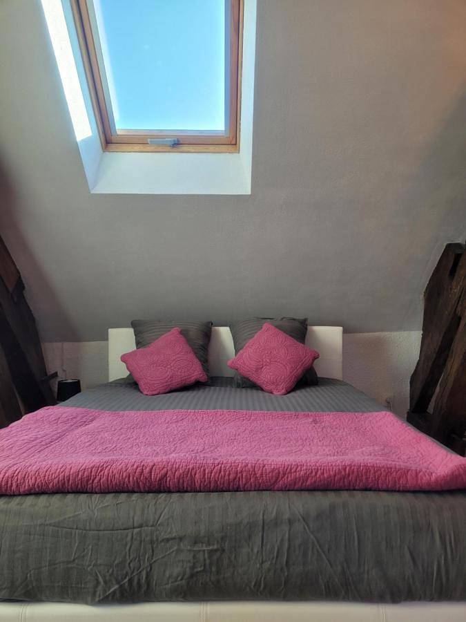 Location de vacances pour 9 personnes, avec vue, animaux acceptés à Avize - 2