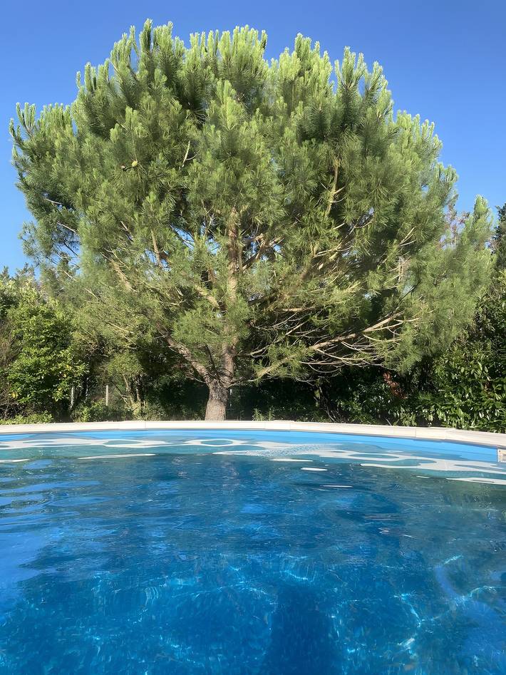 Studio 'Au Petit Paradis' with private pool