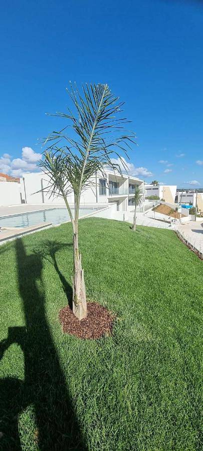 Apartamento inteiro, Fou de Foz in Foz do Arelho, Leiria distrito