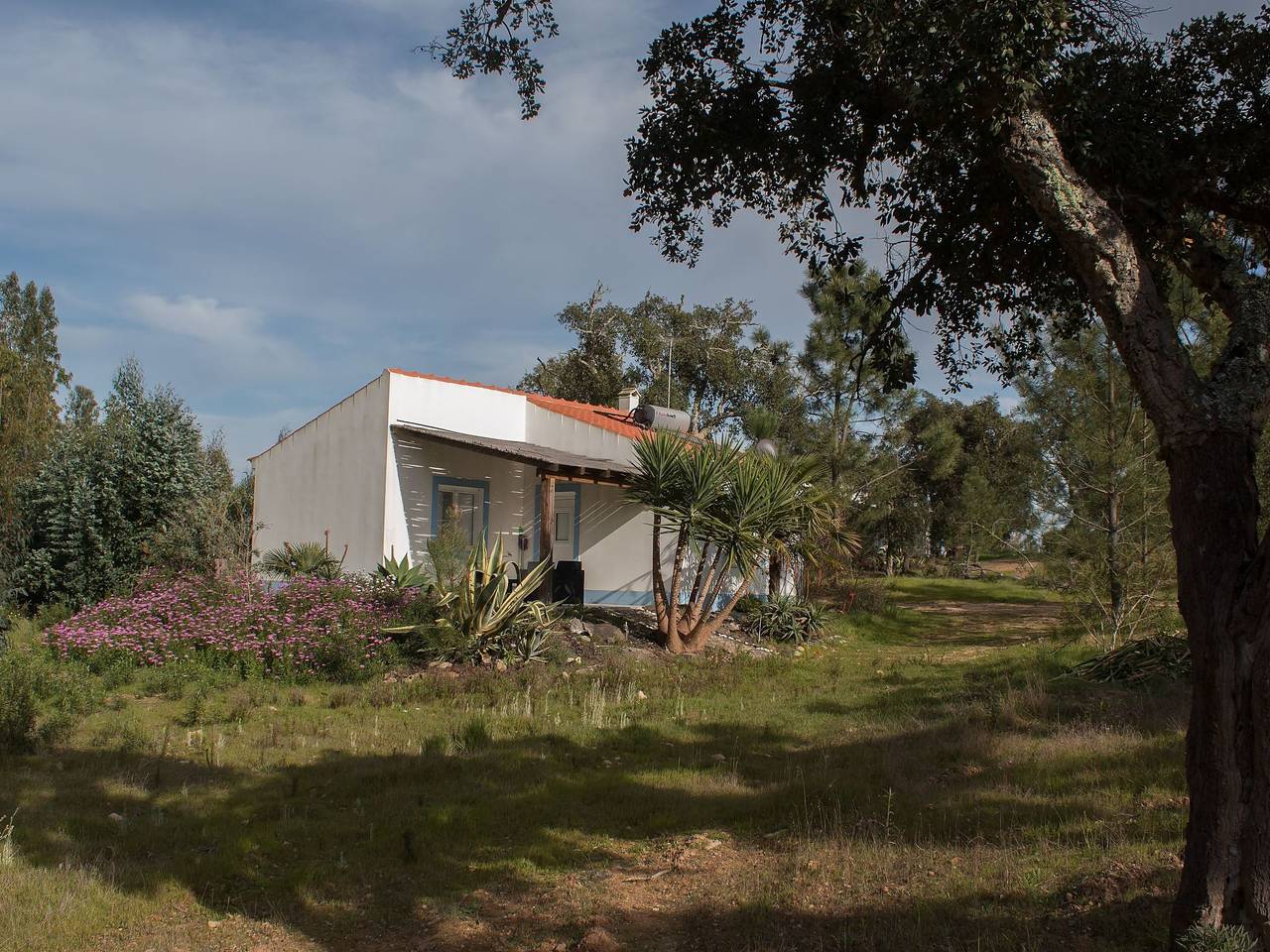 Monte Horizonte Casa Oliveira Öko und Natur in Santiago do Cacém, Santa Cruz e São Bartolomeu da Serra, Alentejo Litoral