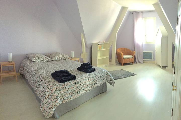 Haus mit Pool im Herzen des Loire-Tals in Cour-Cheverny, Sologne
