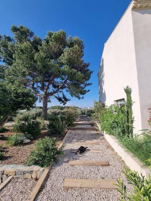 Location de vacances pour 12 personnes, avec piscine et vue sur le lac ainsi que vue et jardin à Vic-la-Gardiole - 3