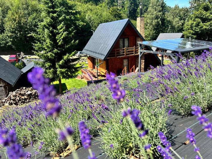 Chalet für 8 Personen, mit Ausblick und Garten sowie Terrasse, mit Haustier - 1
