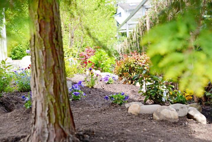 Ferienhaus für 2 Personen, mit Ausblick und Garten in Bad Soden am Taunus - 3