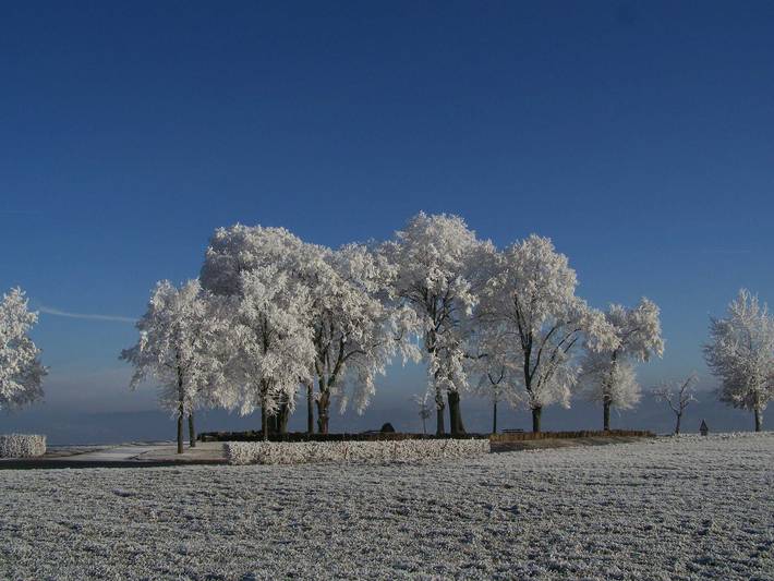 Ferienwohnung für 6 Personen, mit Garten und Ausblick in Oberzent