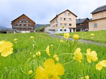 Bauernhof für 5 Personen in Bodensee (Österreich), Bregenzerwald, Bild 1