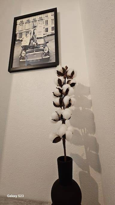 Gîte pour 3 personnes, animaux acceptés à Liévin - 2