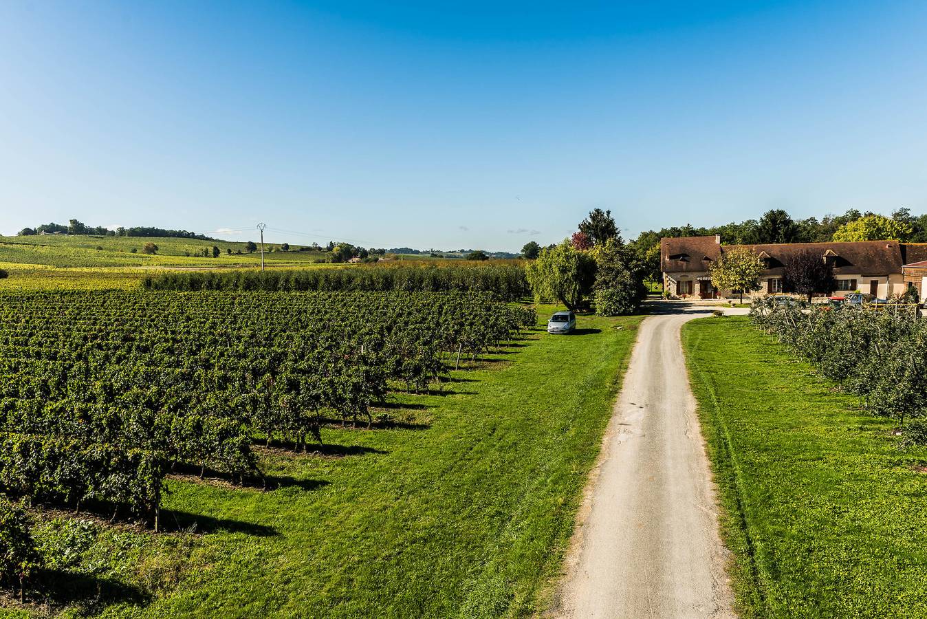 Belle Périgourdine au coeur des vignobles de Bergerac et Monbazillac in Lamonzie-Saint-Martin, Périgord Pourpre
