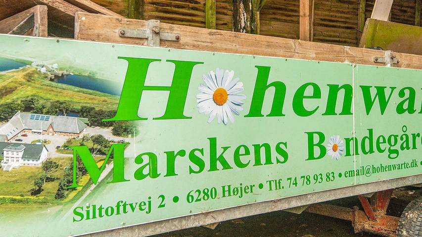 Ferienhaus für 5 Personen, mit Haustier in Højer