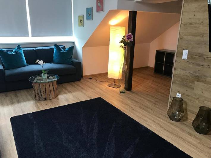 Hôtel pour 2 personnes, avec sauna ainsi que jacuzzi et terrasse, animaux acceptés à Francfort-sur-le-Main - 3