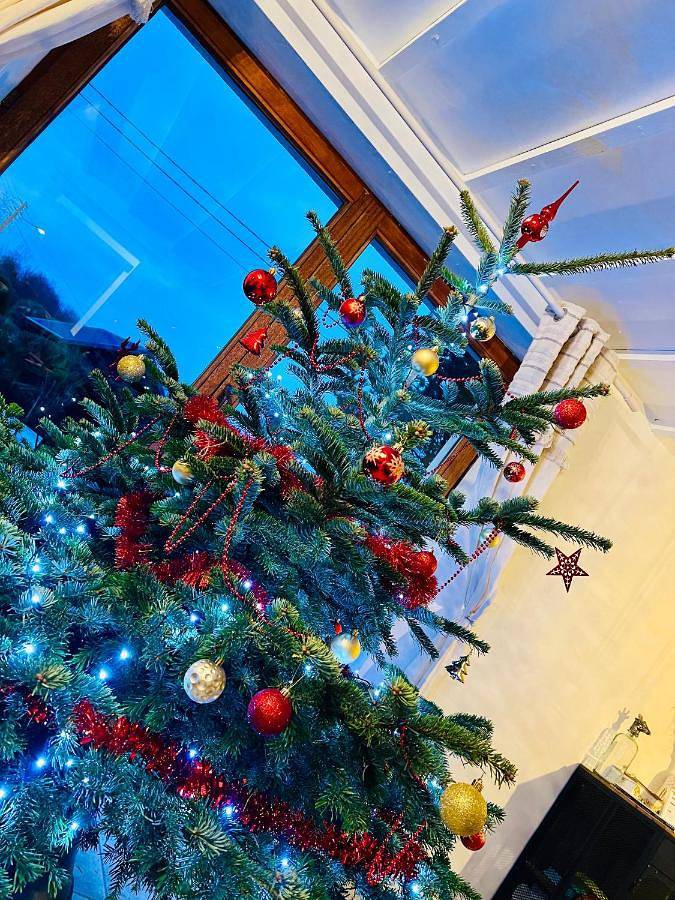 Location de vacances pour 6 personnes, avec jardin et jacuzzi, animaux acceptés à Tenneville - 4