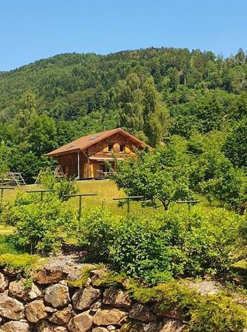 Gîte pour 12 personnes, avec terrasse et jardin, animaux acceptés dans les Vosges