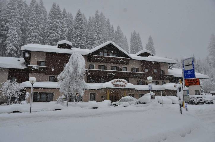 Location de vacances pour 4 personnes, avec sauna ainsi que jardin et jacuzzi à San Martino di Castrozza - 2
