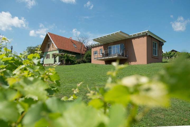 Ferienhaus für 6 Personen, mit Sauna und Ausblick sowie Garten, mit Haustier - 1