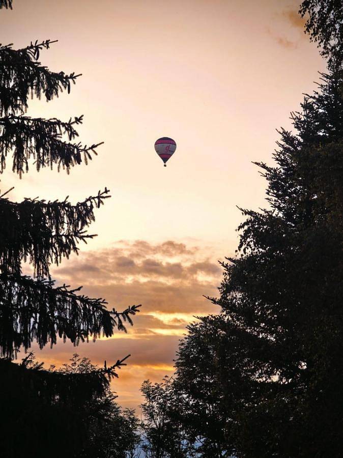 Location de vacances pour 16 personnes, avec jardin, animaux acceptés à Viverols - 2