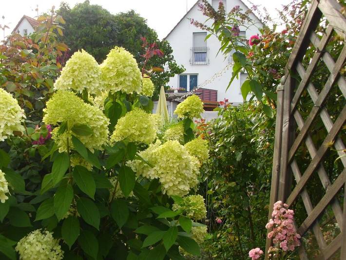 Ferienwohnung für 2 Personen, mit Terrasse im Lahntal - 2