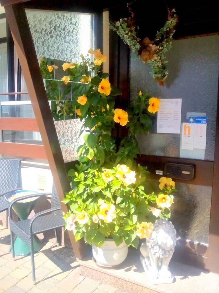 Ferienwohnung für 3 Personen, mit Haustier in Idar-Oberstein - 2