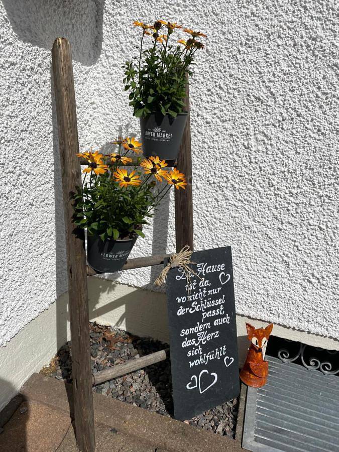Ferienwohnung für 4 Personen, mit Terrasse und Garten sowie Ausblick in Sayda - 2