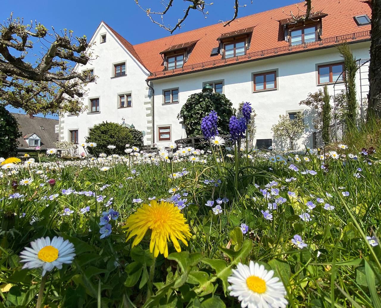 Boutiquehotel Ferienwohnungen Montfort-Schlössle - Doppelzimmer economy in Lindau, Bayerisch Schwaben