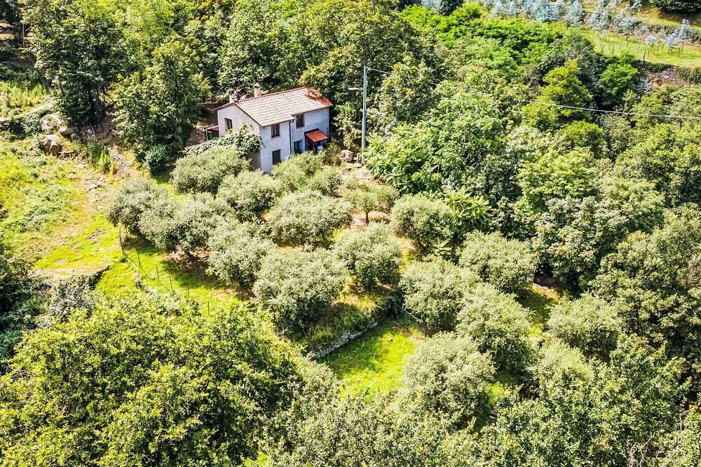 Magnifica villa indipendente per 6 ospiti con Wifi, Tv, patio e animali ammessi in Calvi (Rialto), Rialto