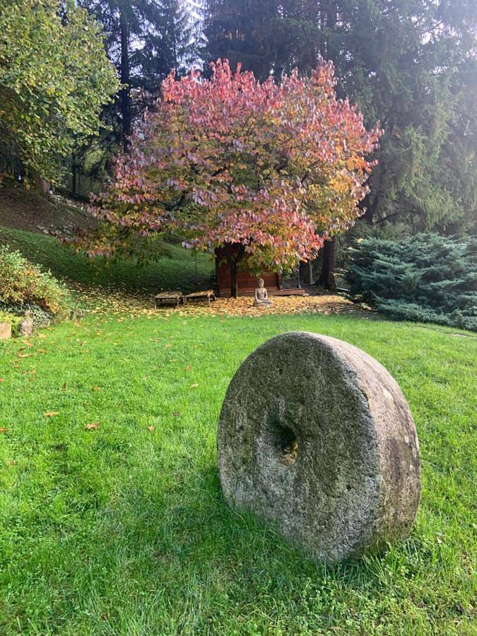BnB für 3 Personen, mit Garten und Pool sowie Ausblick, mit Haustier am Comer See