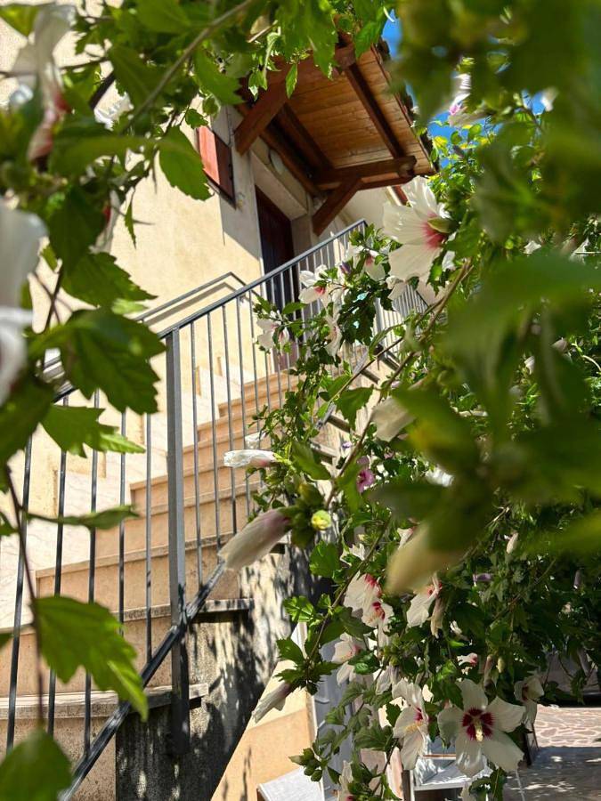 Appartamento vacanze per 6 persone, con terrazza - 1
