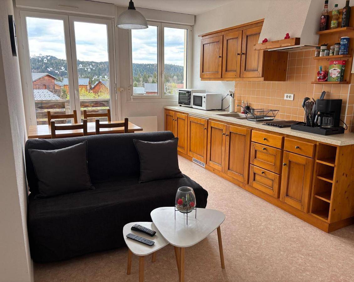 Appartement entier, Cocon jurassien 4 pers Piscine Nature & Ski in Saint-Laurent-en-Grandvaux, Parc naturel régional du Haut-Jura