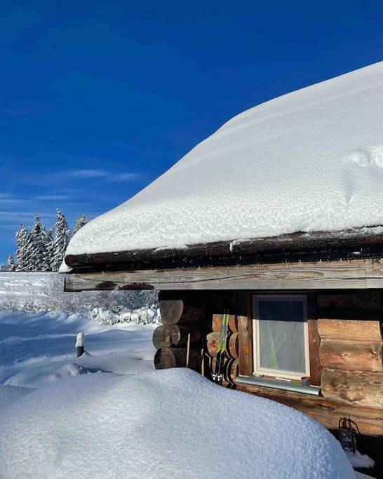 Gîte pour 6 personnes, avec jardin à Picherande - 2