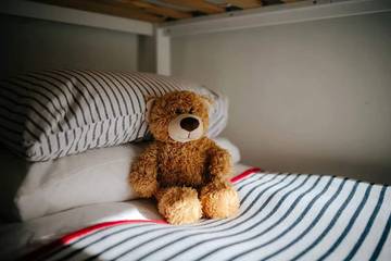 Glamping for 6 People in Swansea region, Photo 4