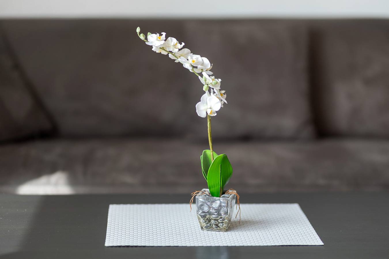 Ganze Wohnung, Ferienwohnung 'Eva' mit privater Terrasse, Gemeinschaftsgarten und Wi-Fi in Grebenhain, Vogelsberg