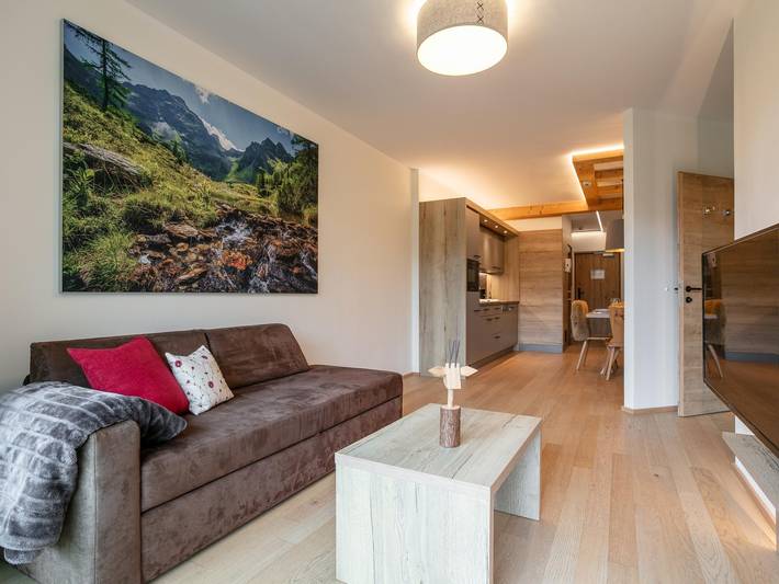 Ganze Wohnung, Schöne Wohnung mit Sauna und Balkon in Haus, Schladming-Dachstein