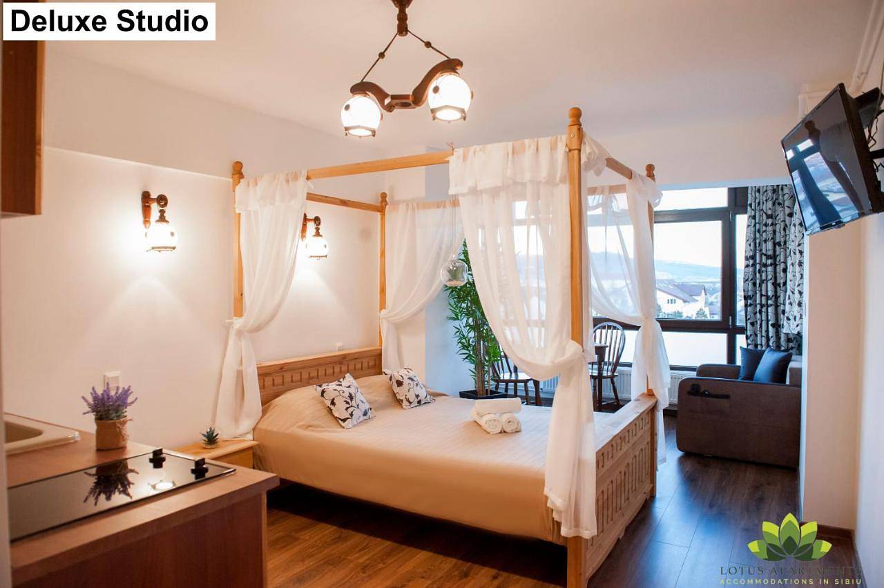 Ganze Wohnung, Superior Apartment with Sauna in Hermannstadt, Karpaten