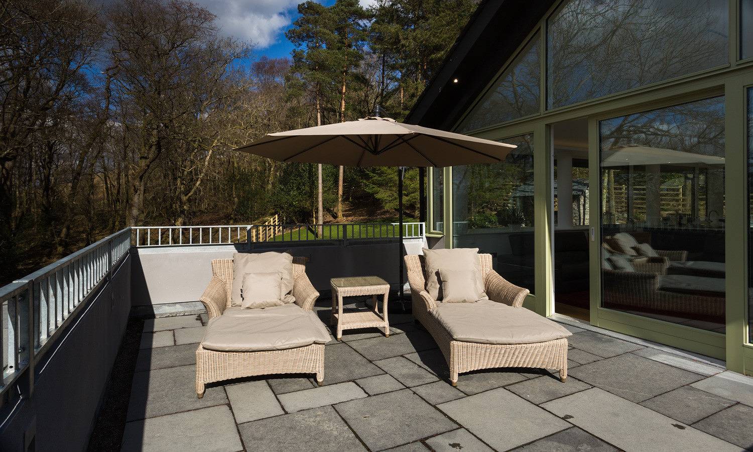 Tall Trees in Lake District