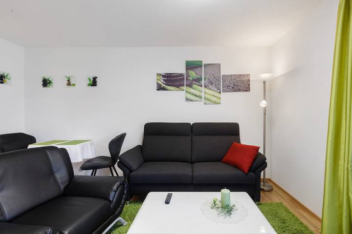 Appartement entier, Appartement 'Frontière Suisse' avec terrasse et Wi-Fi in Waldshut-Tiengen, Forêt-Noire du Sud