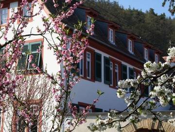 Ferienwohnung für 4 Personen in Neustadt an der Weinstraße, Pfälzer Rheinebene, Bild 3