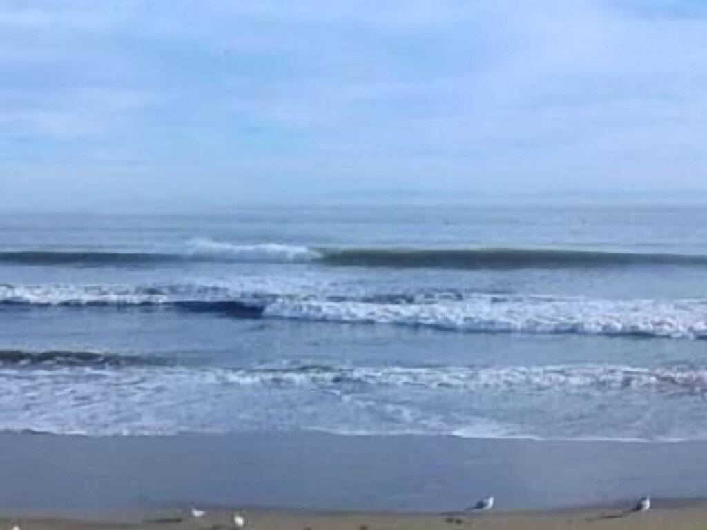 Ganze Wohnung, Auf dem Sand am Strand von Capitola Village Cv_ # 16-061 in Capitola, Santa Cruz County