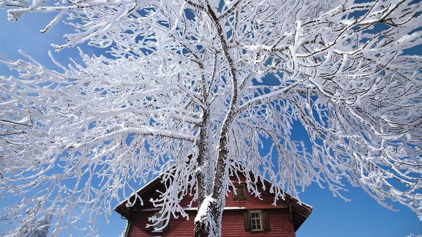 Casa de férias para 2 pessoas, com jardim, com animais de estimação em Suíça