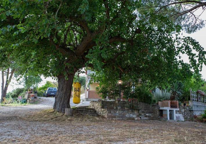 Casa vacanza per 5 persone, con Terrazza e Giardino nonché Panorama a Ogliastro Cilento