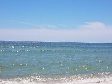 Beach Rental for 6 Guests in Panama City (Florida), Emerald Coast, Picture 3