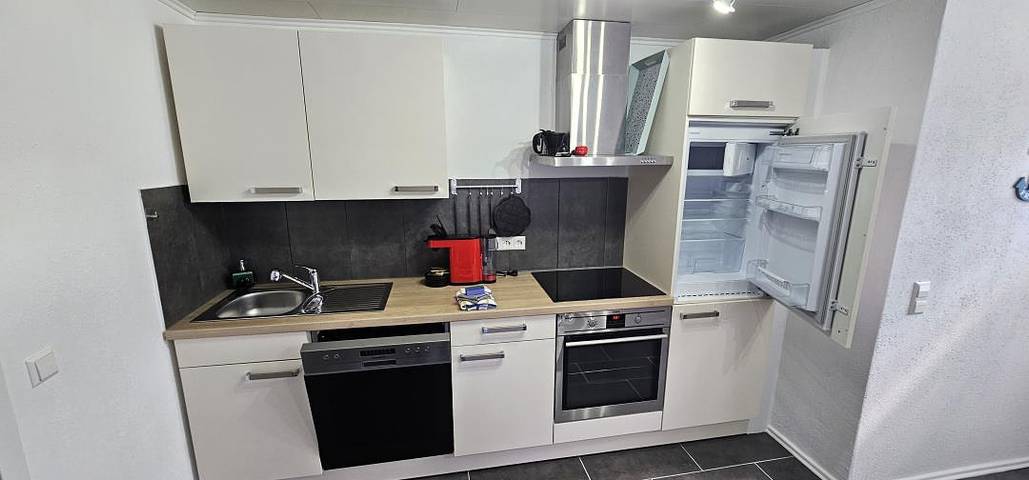 Ganze Wohnung, Ferienwohnung Wildgans 1 – Ruhe & Erholung in Ostfriesland in Ditzumerverlaat, Bunde