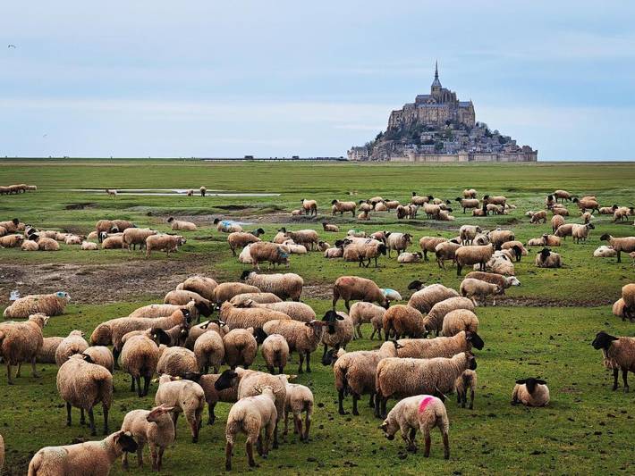 Gîte pour 6 personnes, avec jardin à Saint-Quentin-sur-le-Homme - 2