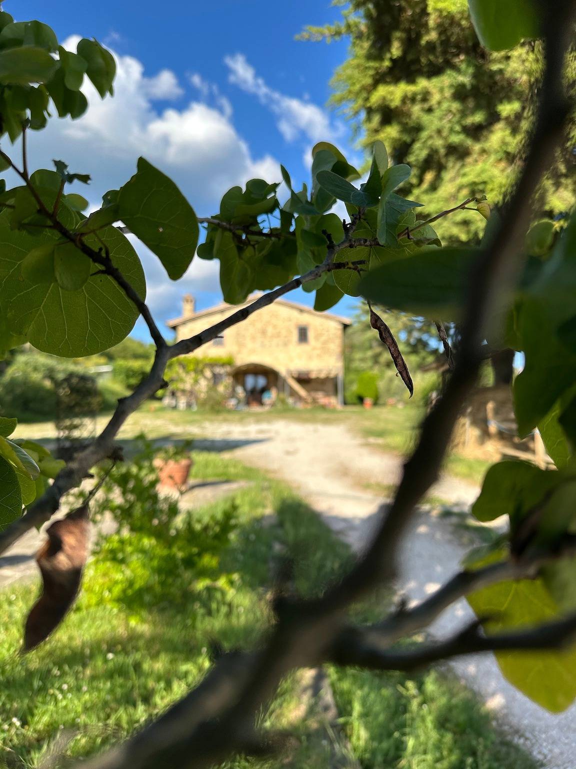 Palazzo Goduto – Séjour à la ferme bio dans les collines de l’Ombrie, Italie in Pérouse, Province de Pérouse