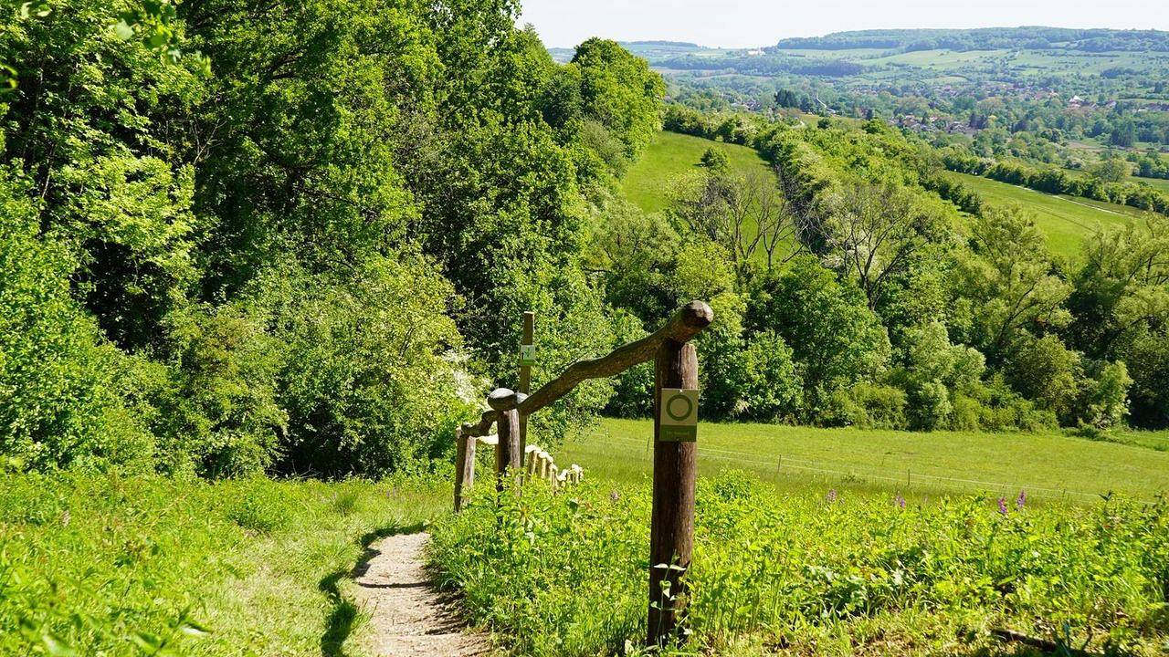 Ganze Ferienwohnung, Ferienwohnung für 6 Personen (80 m²) in Gersheim in Gersheim, Saarpfalz-Kreis