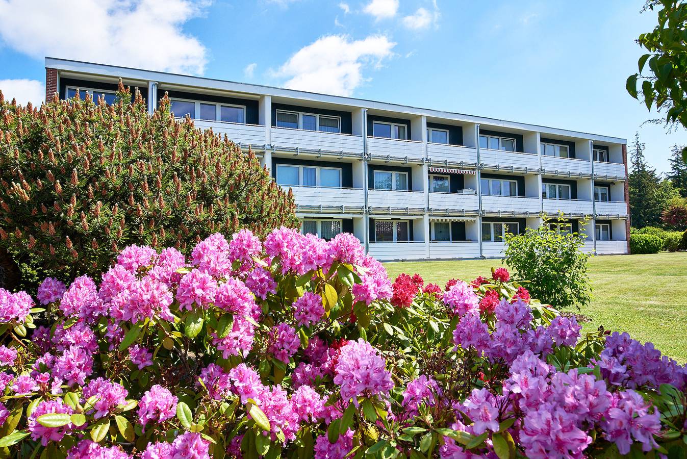 Ganze Ferienwohnung, Berliner Ring 31 in Wyk auf Föhr (Stadt), Wyk auf Föhr