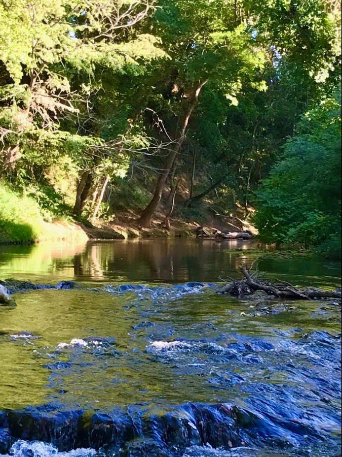 Location de vacances pour 4 personnes, avec jardin à Montfort-sur-Argens - 3