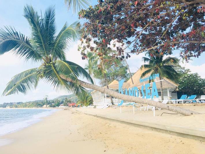 Station pour 3 personnes, avec bassin pour enfant ainsi que piscine et jardin à Lamai Beach - 4
